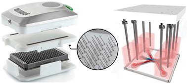 High throughput transepithelial electrical resistance (TEER.